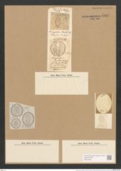 Campylodiscus thuretii Breb. (de-Toni-Nr.: Genus 57, Species 2482) Zeichnungen Sammlung Grunow Nr. 4987 (NHMW-BOT-W0373226)